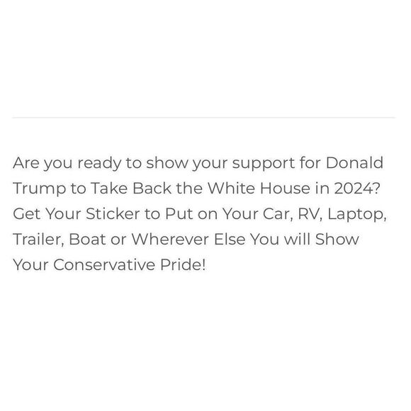 TRUMP TAKE AMERICA BACK! 2024 Bumper Sticker - Picture 5 of 5